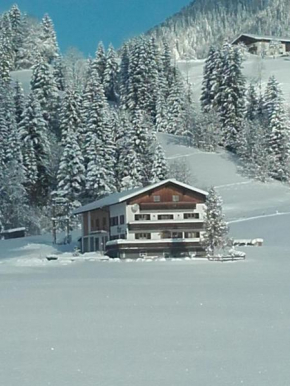 Moosgut, Abtenau, Österreich